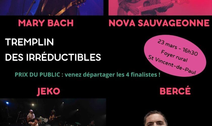 Tremplin des Irréductibles – artistes (1)