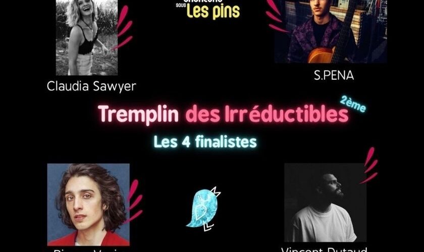 Site internet – actualités